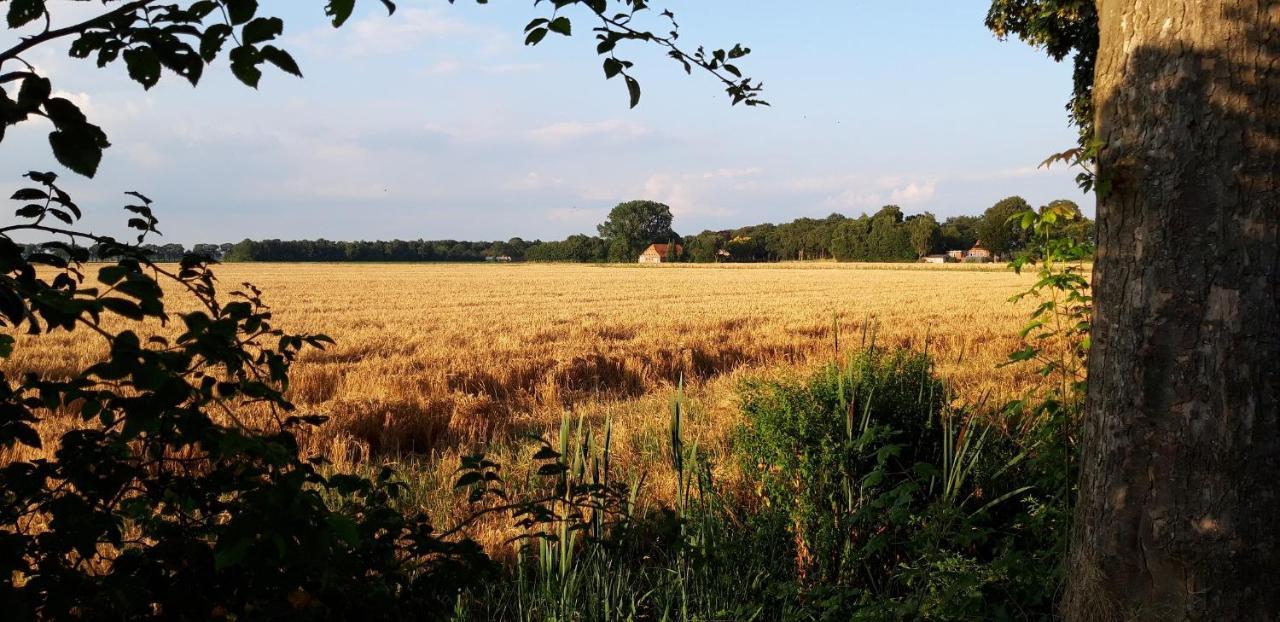 Slaaphuisjes Op Wielen Buitenwedde Westerwolde Luaran gambar